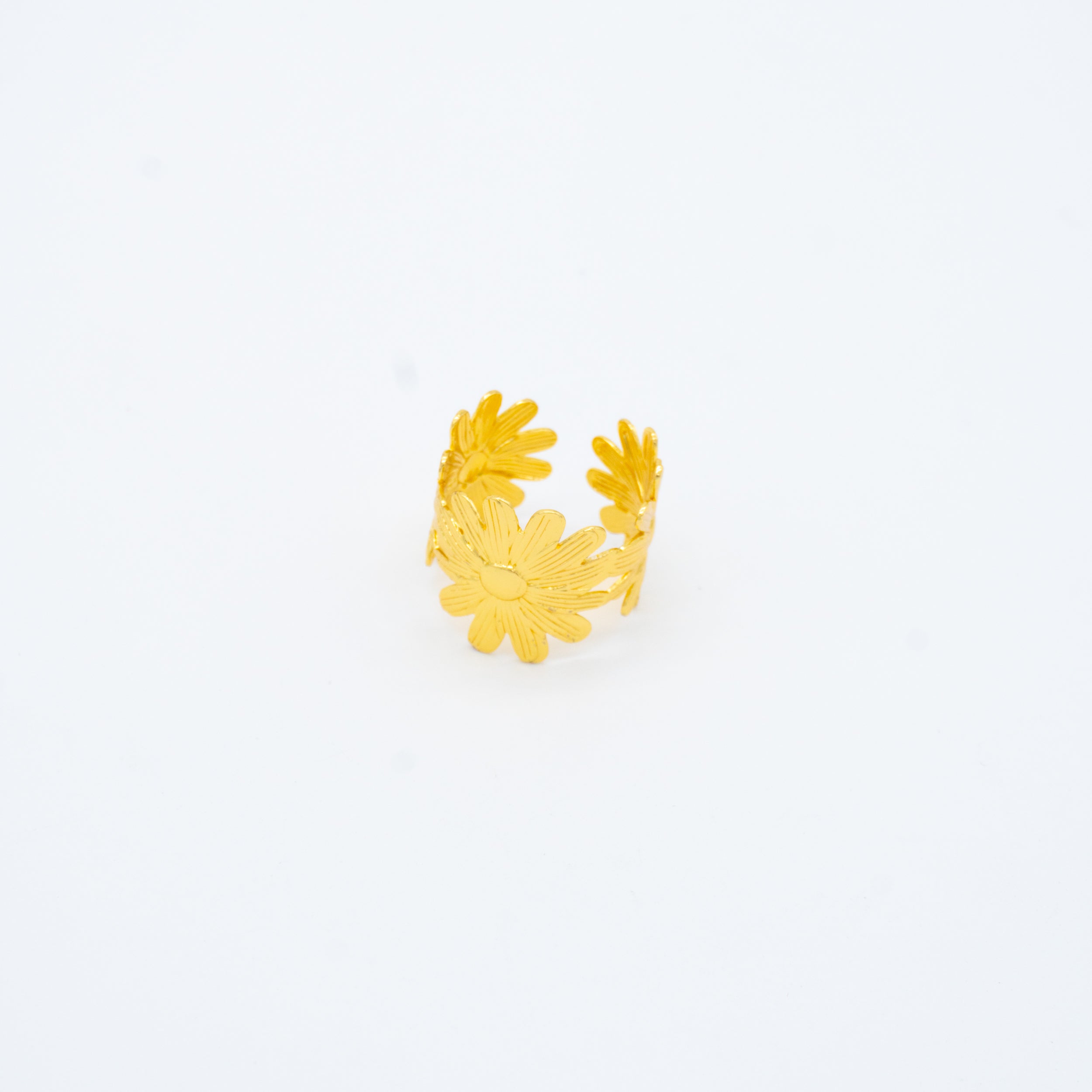 ANILLO