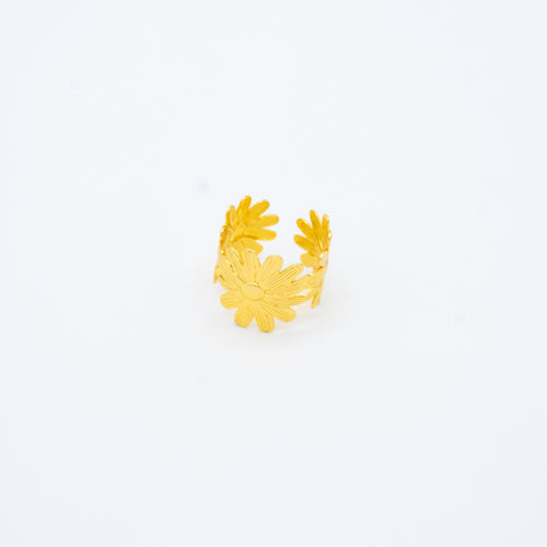 ANILLO