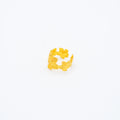 ANILLO
