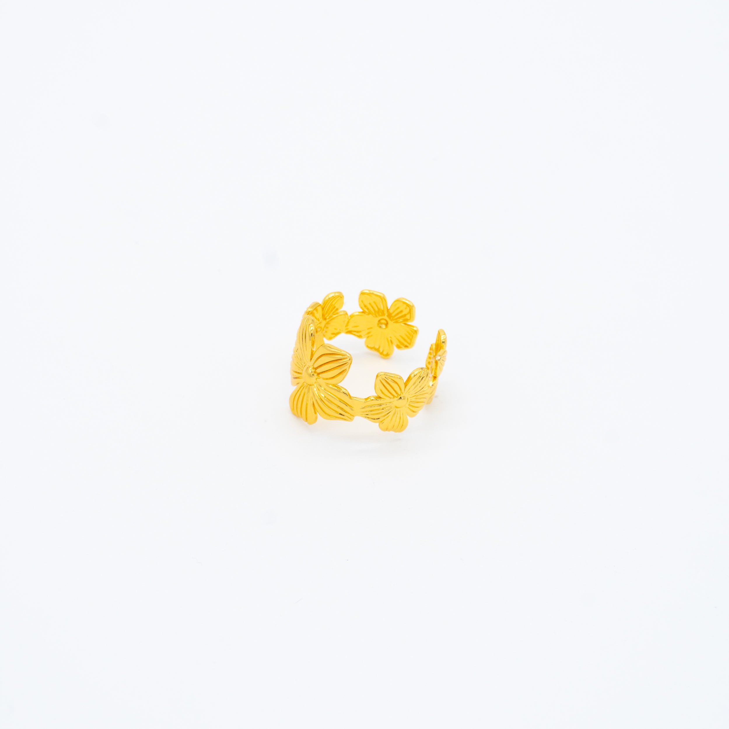 ANILLO