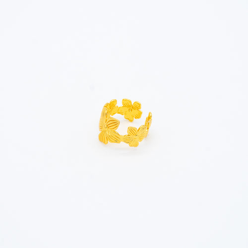 ANILLO