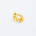 ANILLO