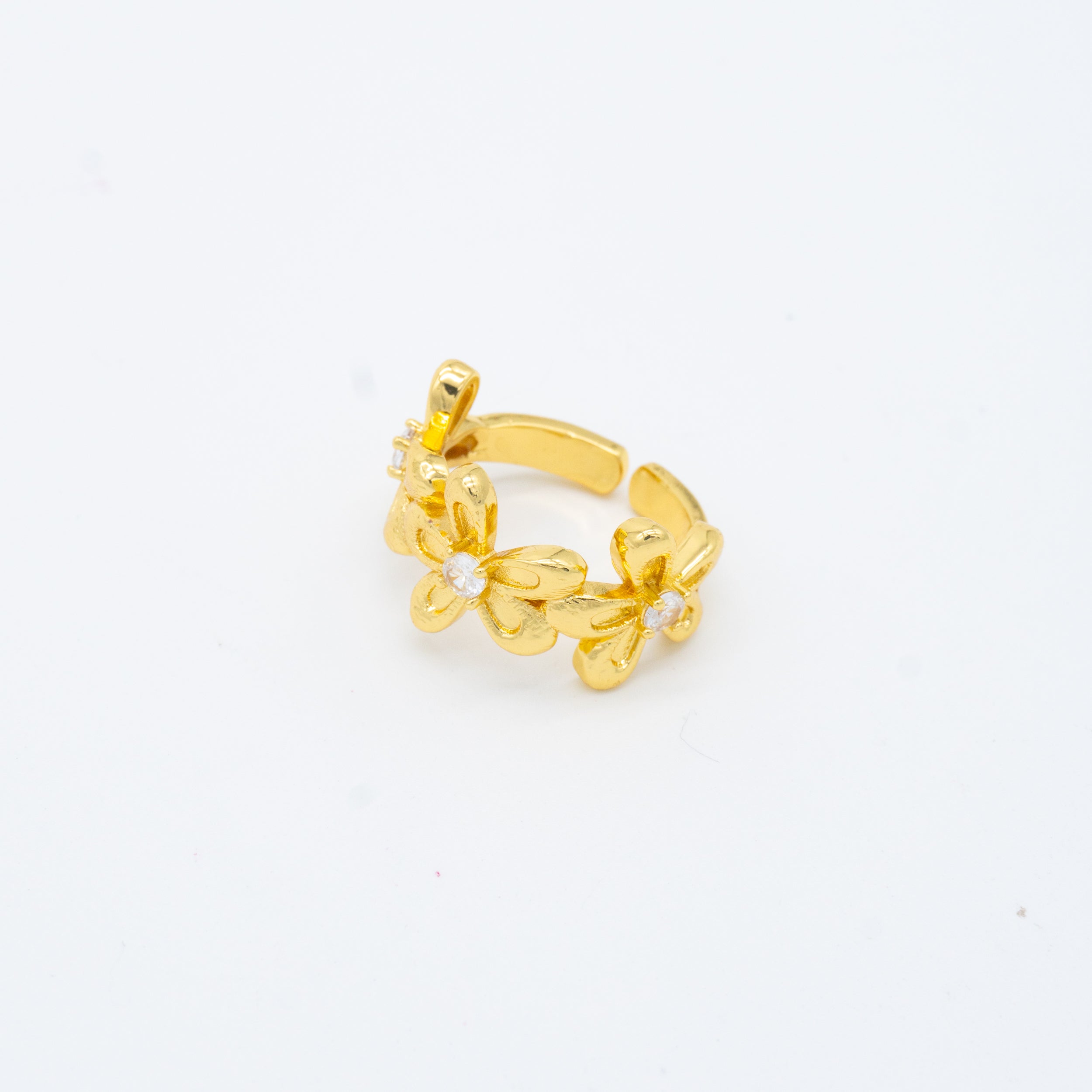ANILLO