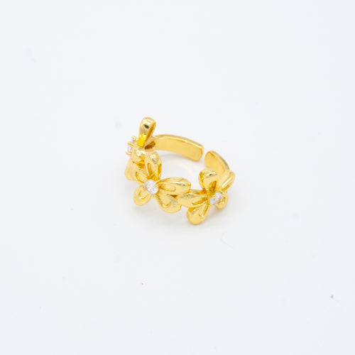 ANILLO
