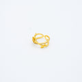 ANILLO