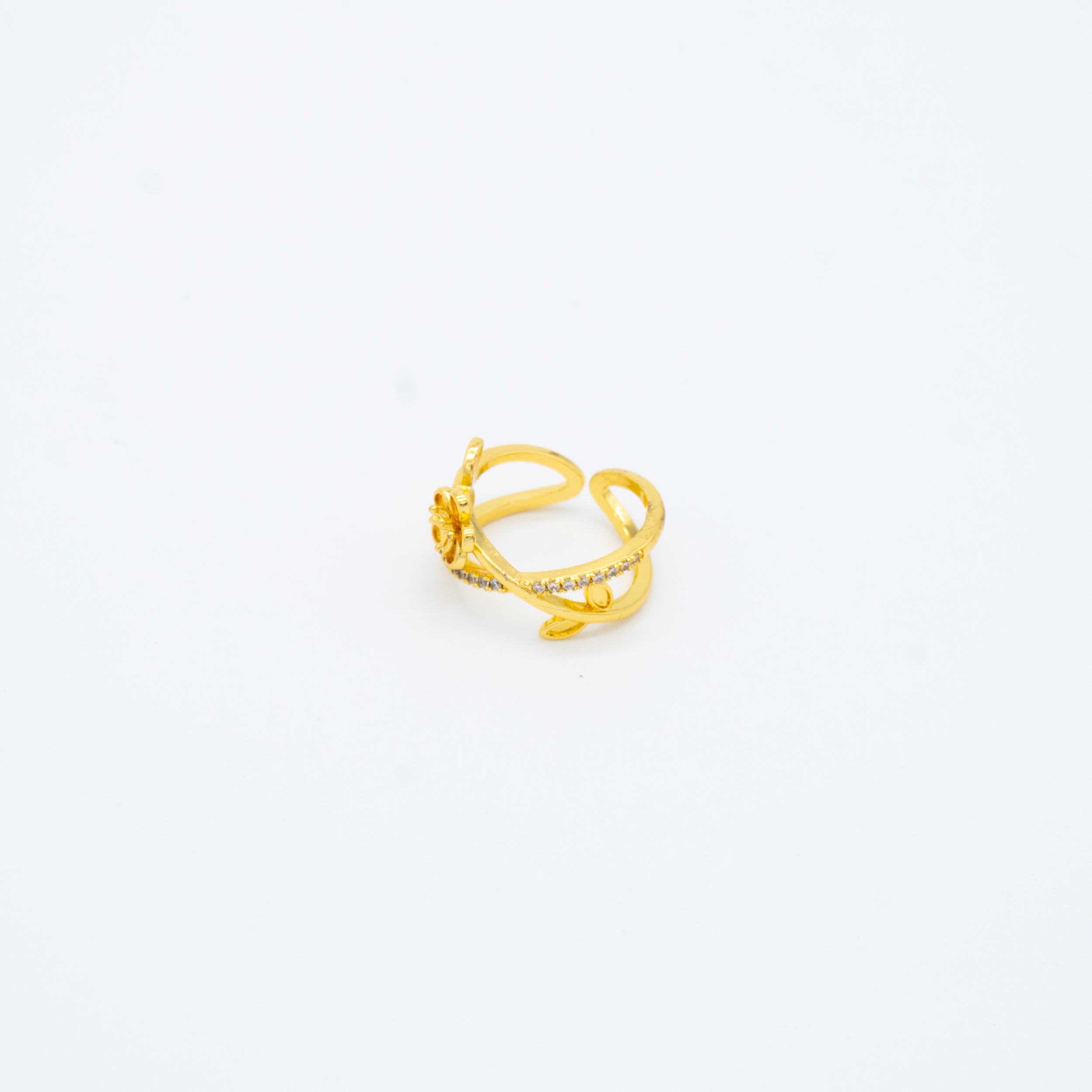 ANILLO