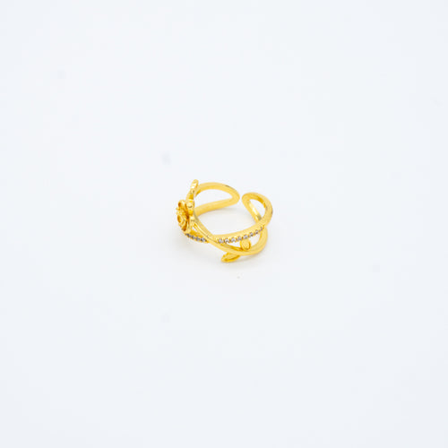 ANILLO