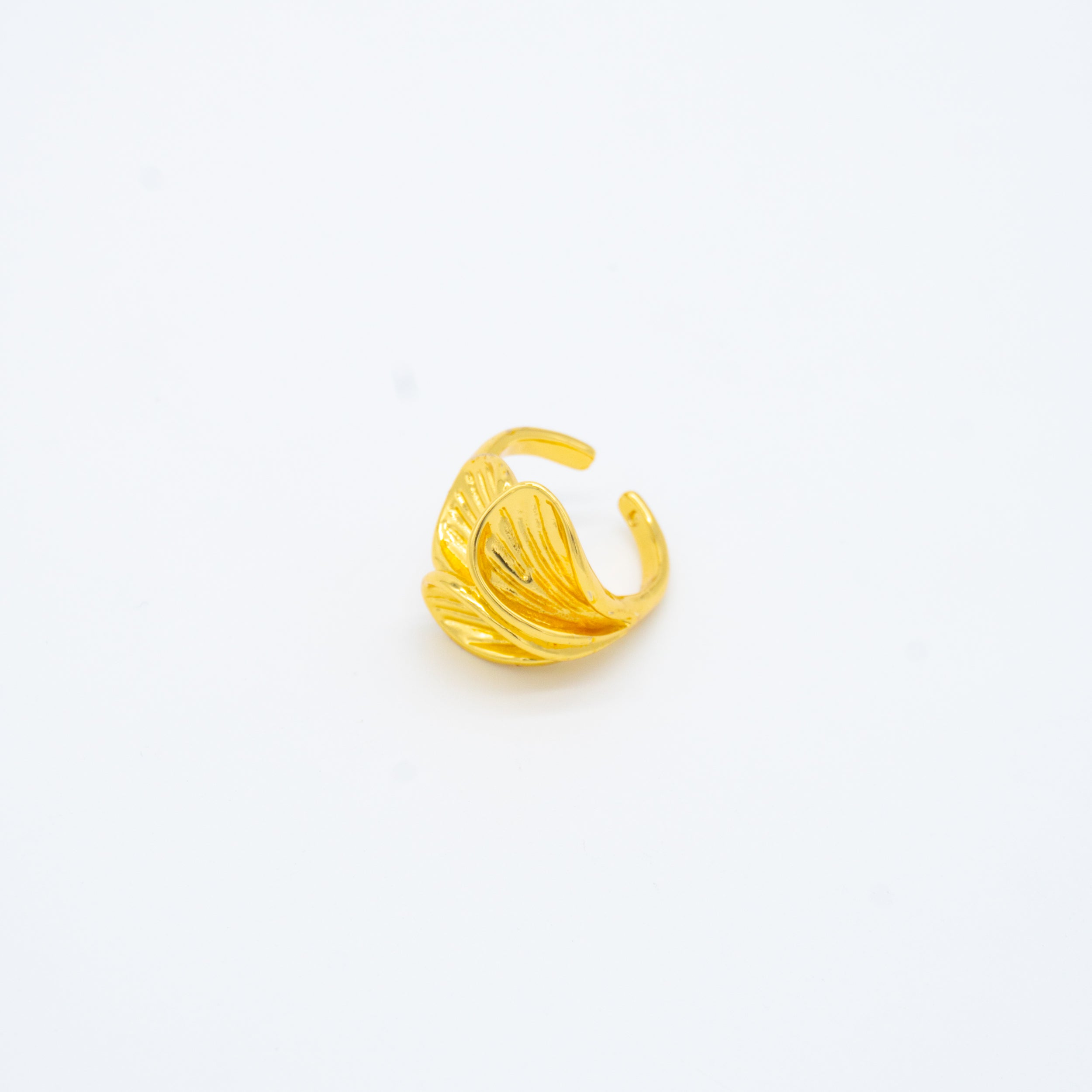 ANILLO