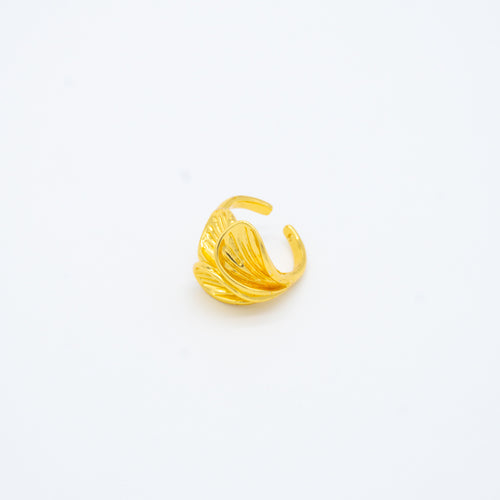 ANILLO