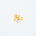 ANILLO