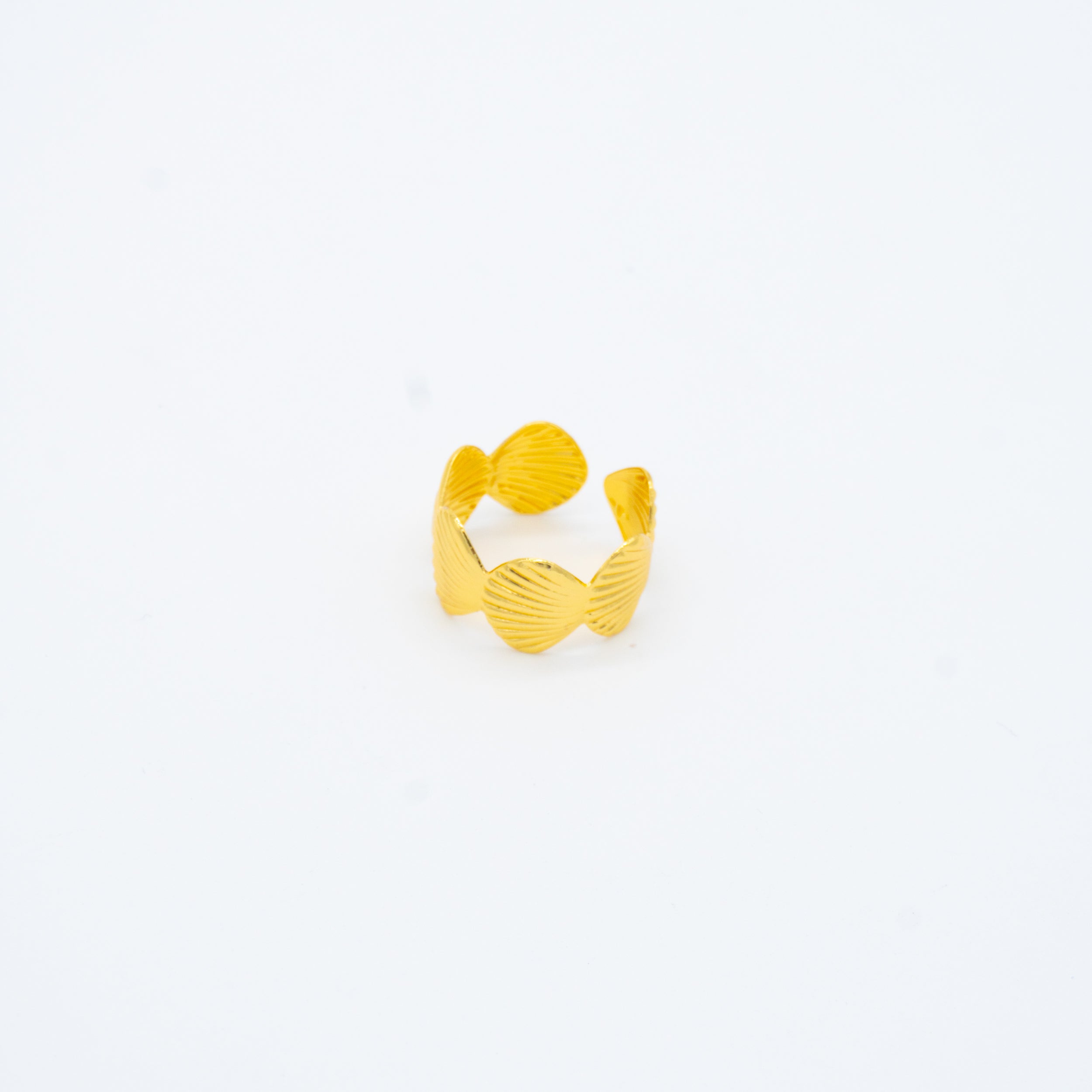 ANILLO