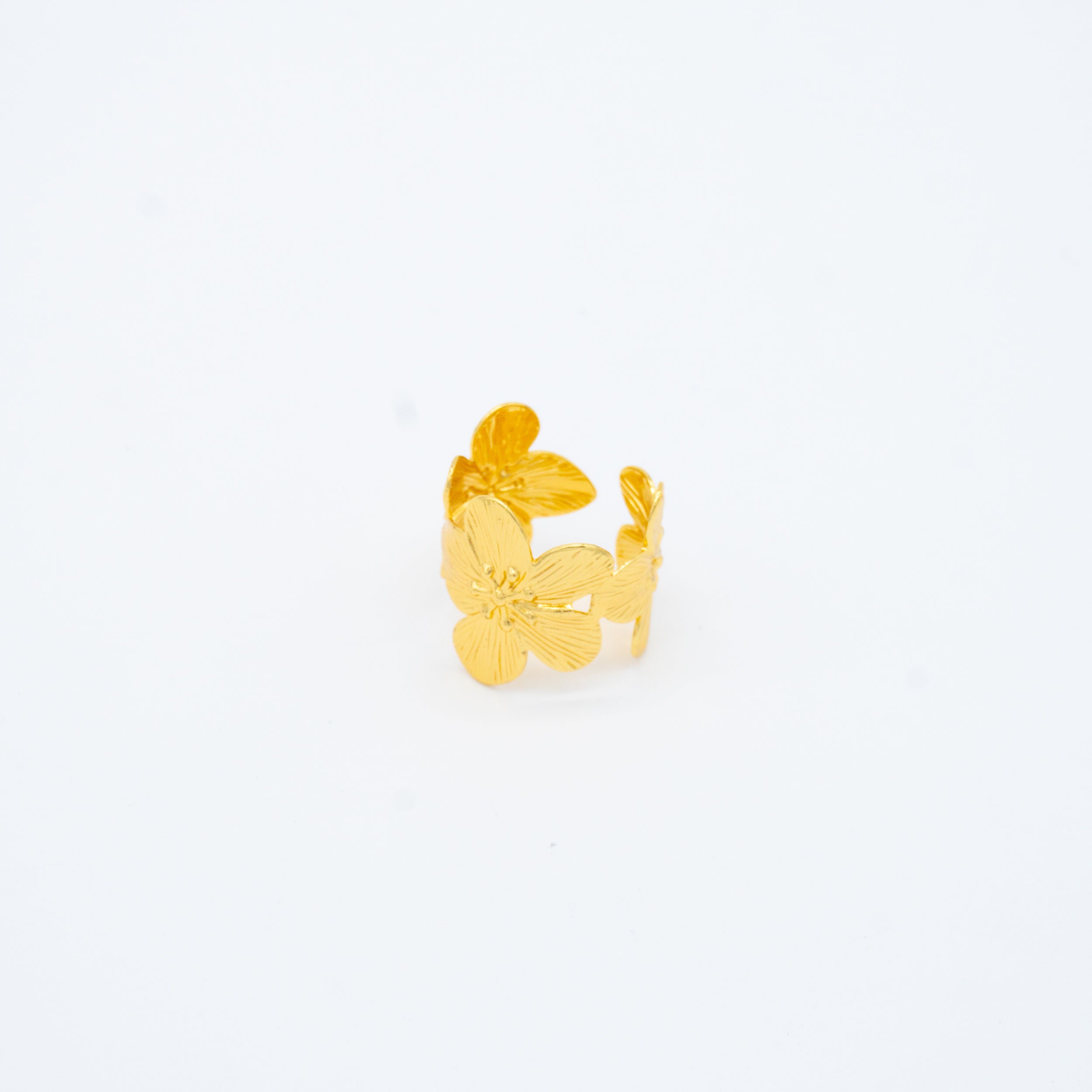 ANILLO