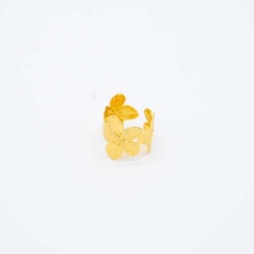 ANILLO
