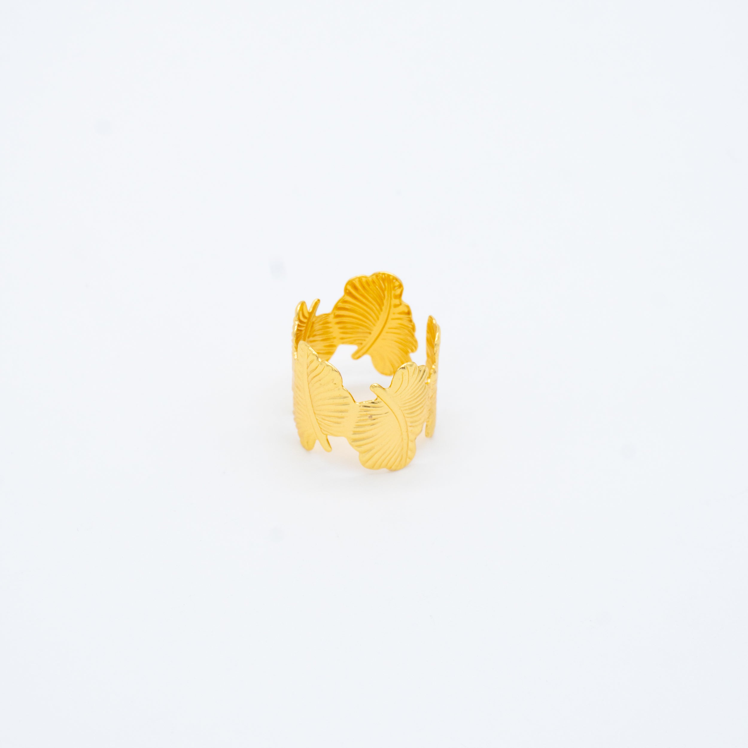 ANILLO
