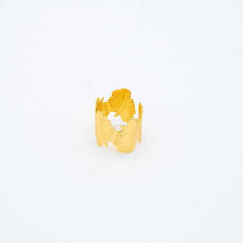 ANILLO