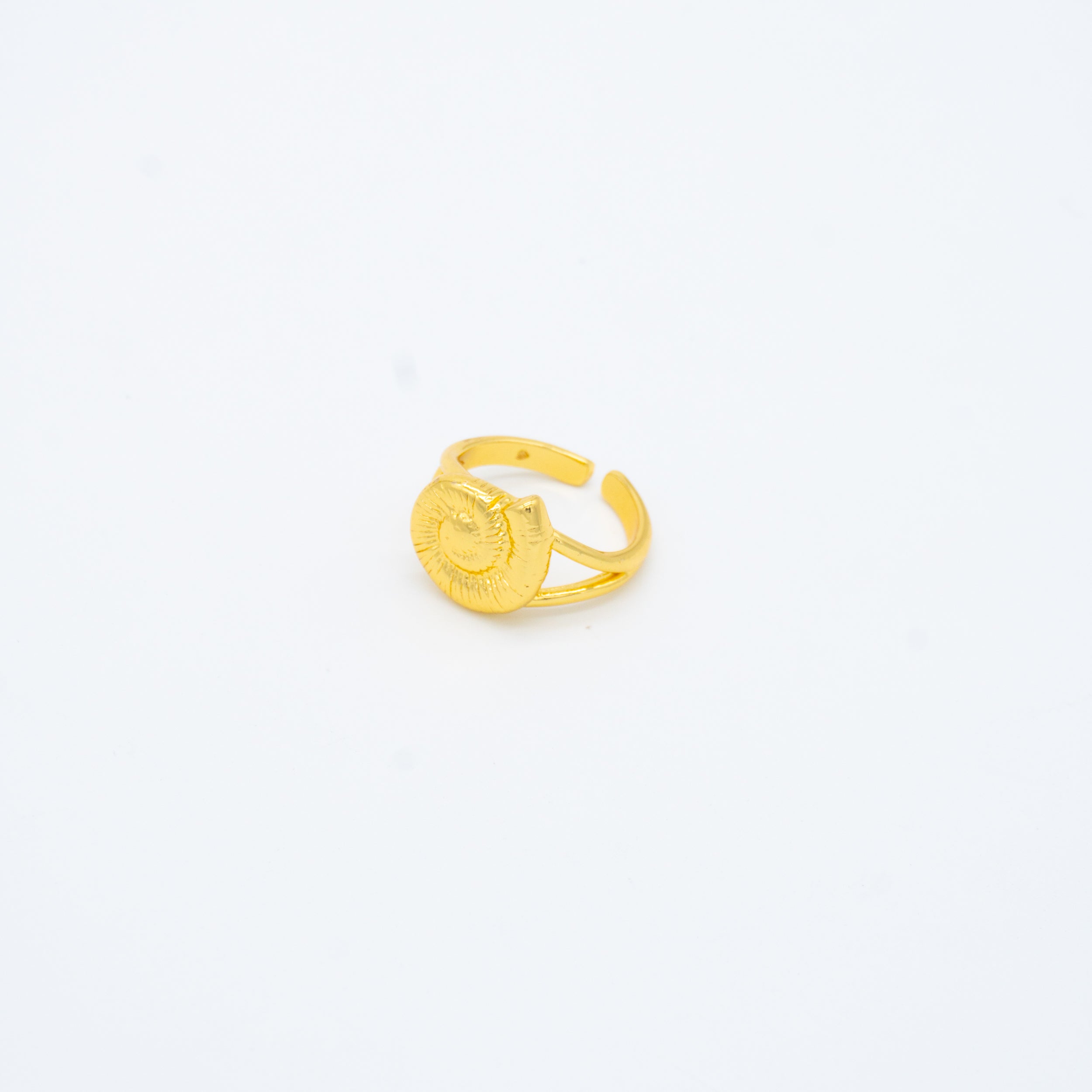 ANILLO