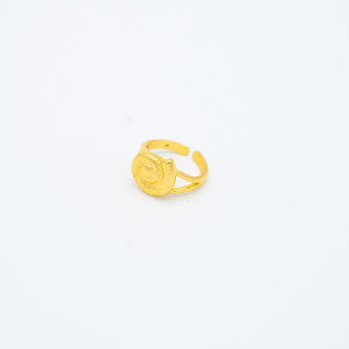ANILLO