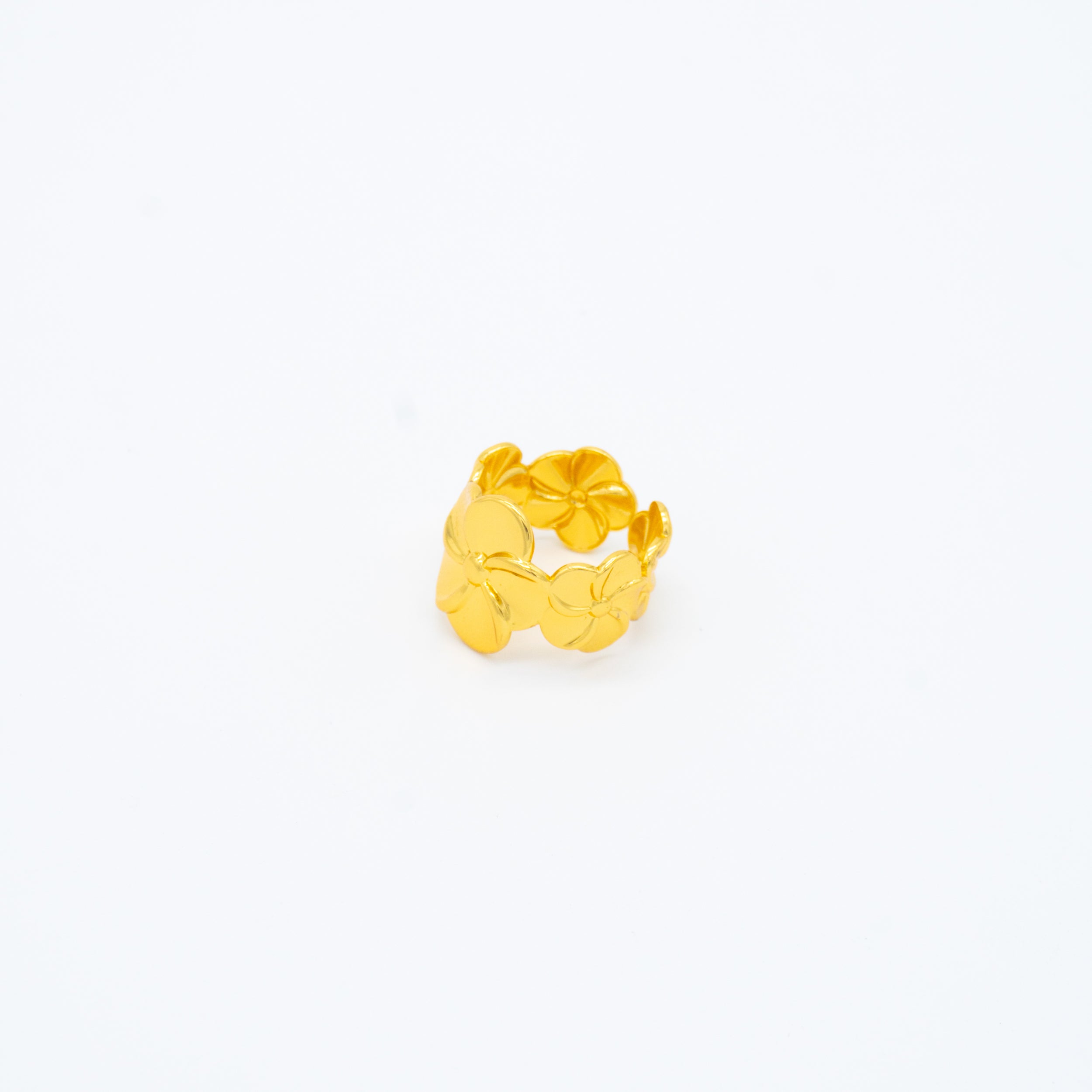 ANILLO