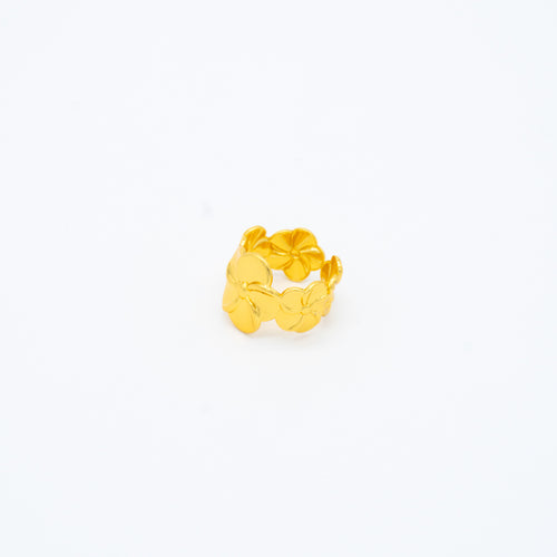 ANILLO