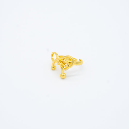 ANILLO
