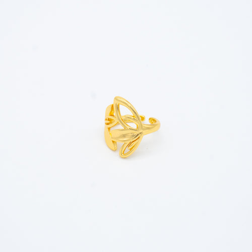 ANILLO