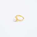 ANILLO