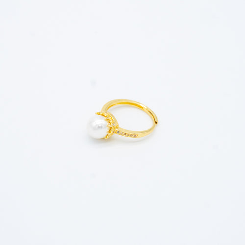 ANILLO