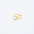 ANILLO