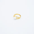 ANILLO