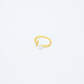 ANILLO