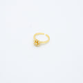 ANILLO