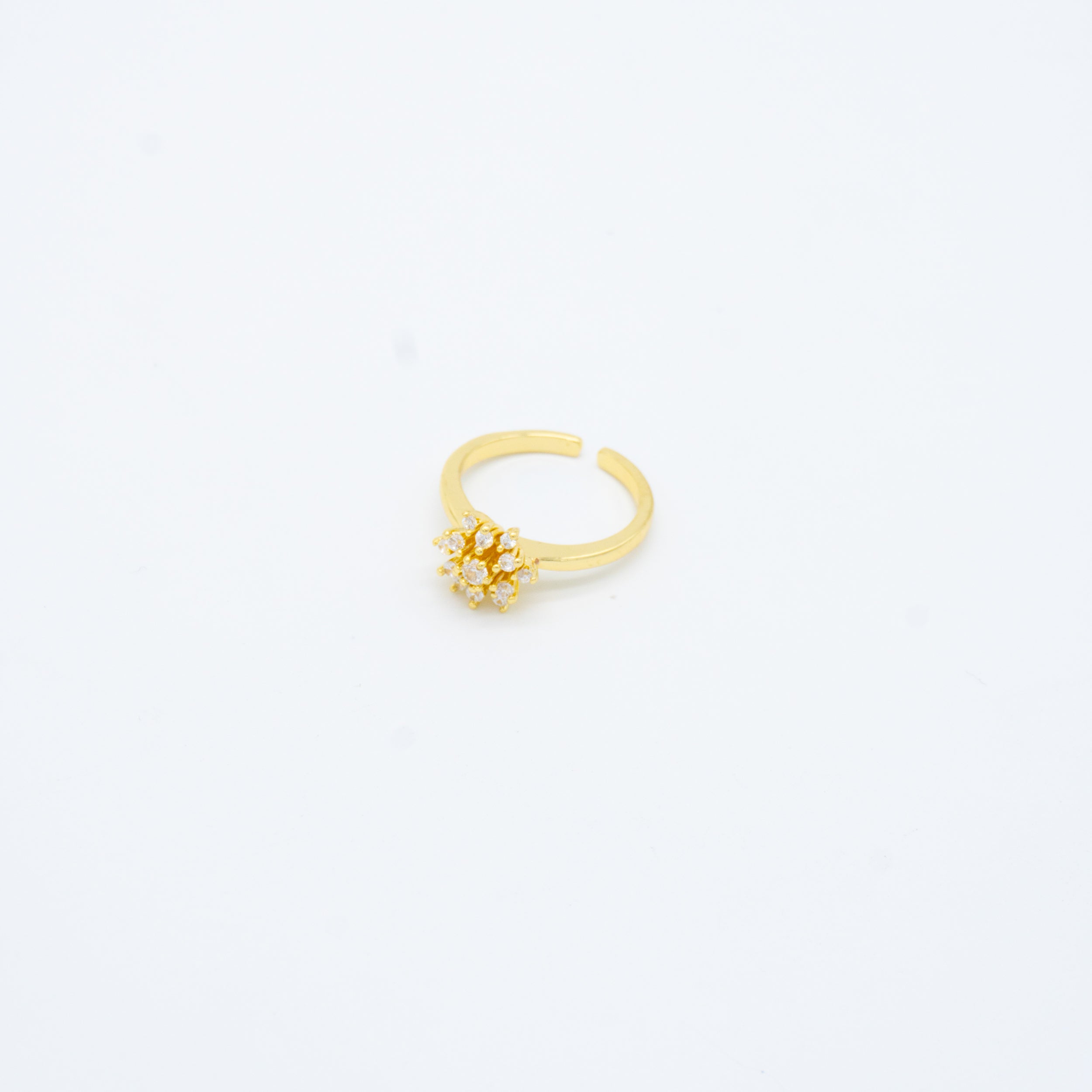 ANILLO