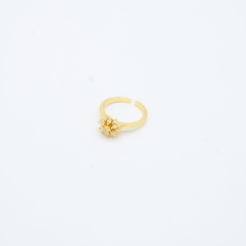 ANILLO