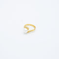 ANILLO