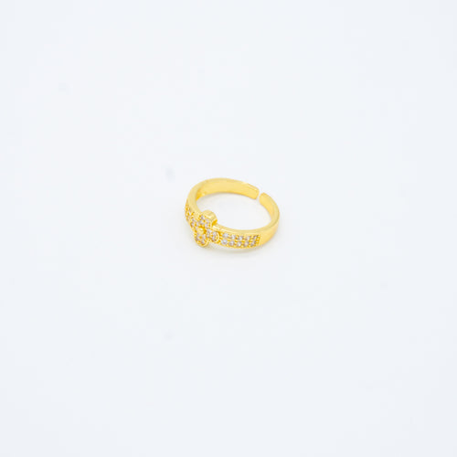 ANILLO