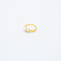 ANILLO