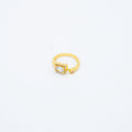 ANILLO