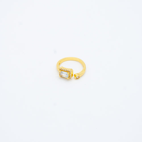 ANILLO
