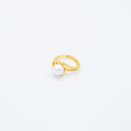 ANILLO