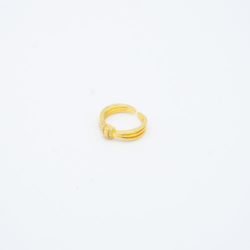 ANILLO
