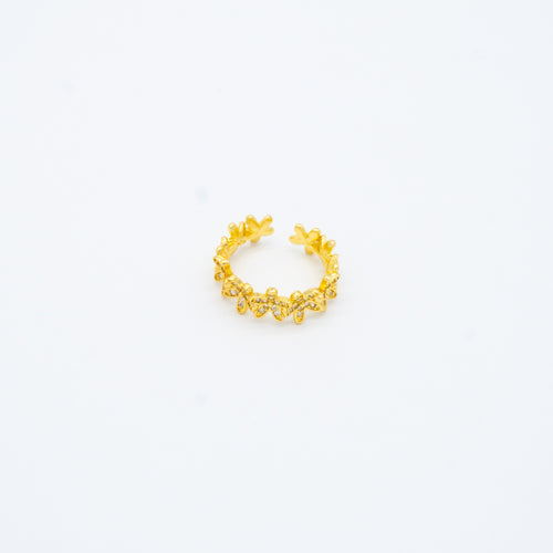 ANILLO