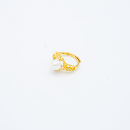 ANILLO