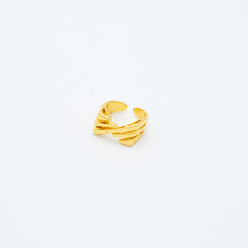 ANILLO