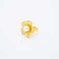 ANILLO