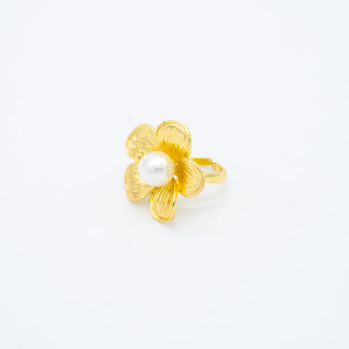 ANILLO