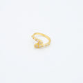 ANILLO