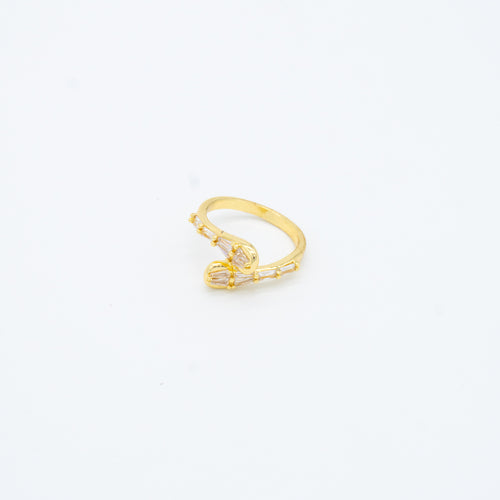 ANILLO