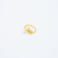 ANILLO