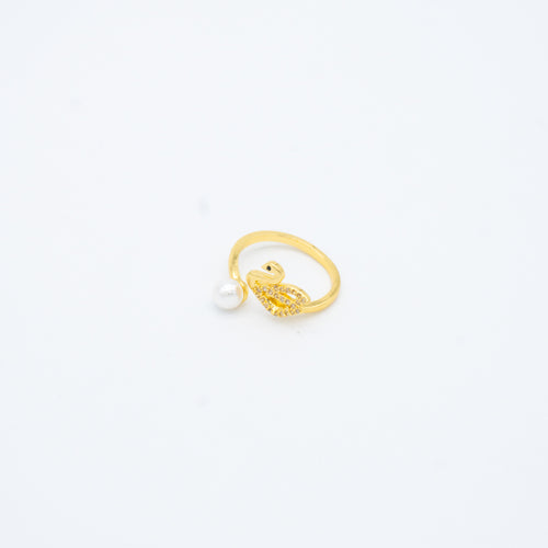 ANILLO