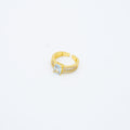 ANILLO